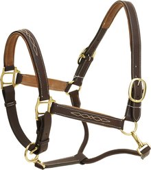 Ovation Richtan Luxury Padded Horse Halter, Brown/Tan