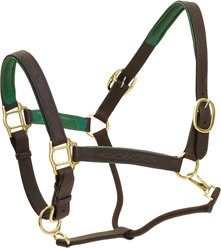 Ovation Richtan Luxury Padded Horse Halter, Brown/Hunter