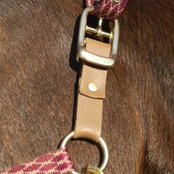 Centaur Leather Breakaway Fuse Horse Halter Accessory