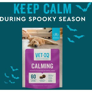 VetIQ Calming Soft Chew Calming Supplement for Dogs, 60 count