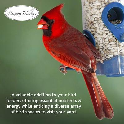 Show full view: Happy Wings NO GROW Sunflower Hearts & Chips Wild Bird Food, 16-lb bag slide 4 of 7