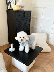 Dolly Pet Elsa's Reversible Fur Dog Coat, XX-Large slide 2 of 7