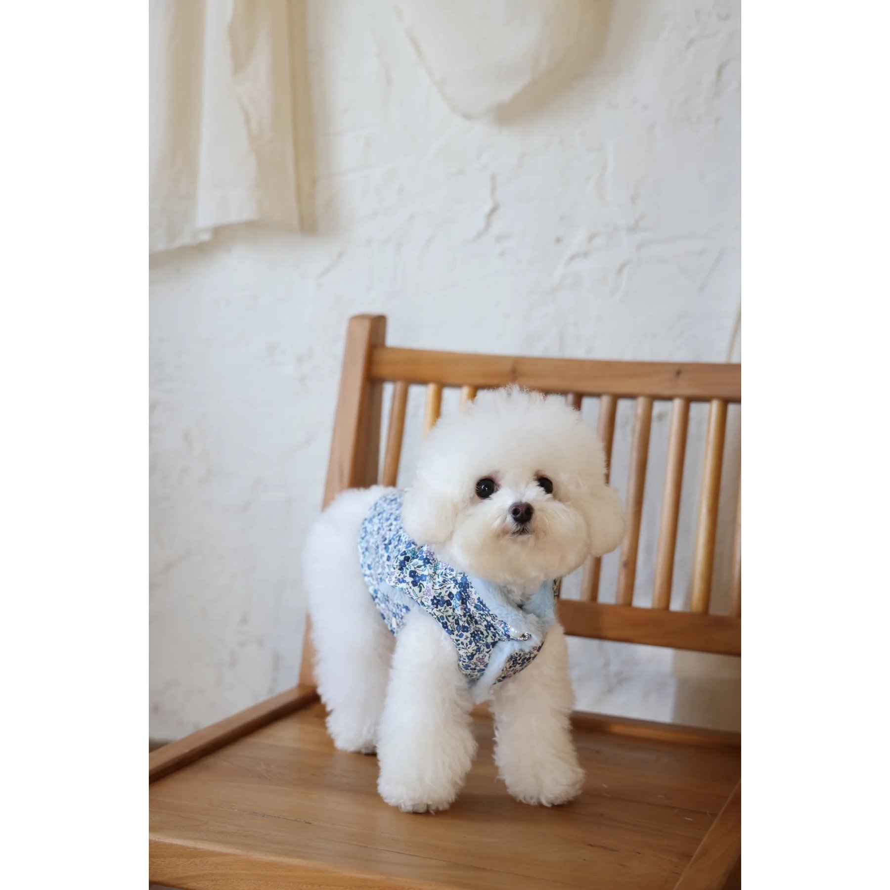 Dolly Pet Elsa's Reversible Fur Dog Coat, X-Small