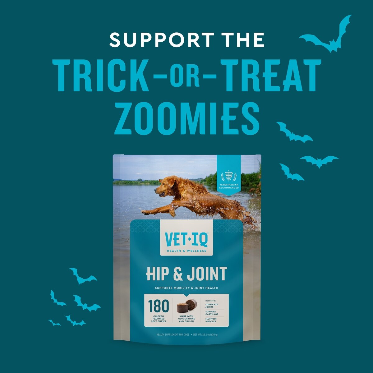 VETIQ Hip Joint Soft Chew Joint Supplement for Dogs, 60 Count
