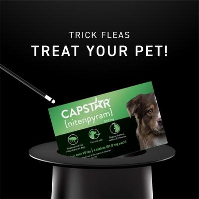 CAPSTAR Flea Oral Treatment for Dogs, over 25 lbs, Tablets