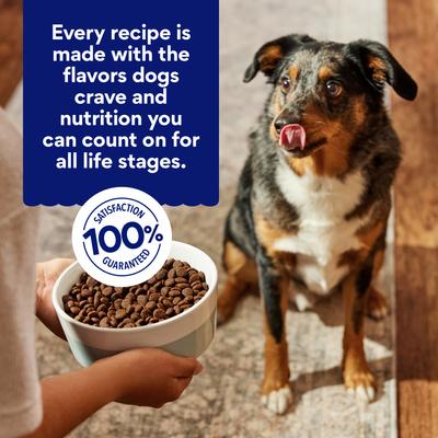 Show full view: Chewy Limited Ingredient Duck & Sweet Potato Recipe Grain-Free Dry Dog Food (FORMERLY AMERICAN JOURNEY), 24-lb bag slide 7 of 10