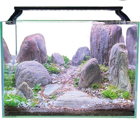 Show full view: AquaZen Rimless Desktop Freshwater Planted Tank Kit, 10-gal slide 6 of 7