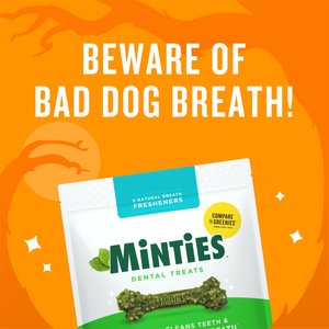Minties Medium Mint Flavored Dental Treats for Dogs, 25-50 lbs, 32-oz, 40 count