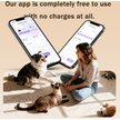 Show in main carousel: ONIZOOMI Smart Stainless Steel Bowl 2.4G Automatic Cat & Dog Feeder, Black, 25-Cup slide 9 of 10
