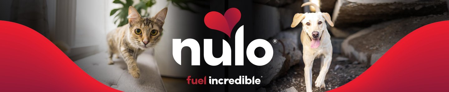 nulo. fuel incredible