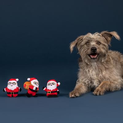 Show full view: Fringe Studio Christmas Rebels Without A Claus Plush Dog Toy slide 3 of 3