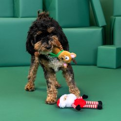 Fringe Studio Christmas Friends at Frost Sight Plush Dog Toy Set, 2 count slide 2 of 5