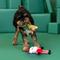 Show in main carousel: Fringe Studio Christmas Friends at Frost Sight Plush Dog Toy Set, 2 count slide 5 of 5