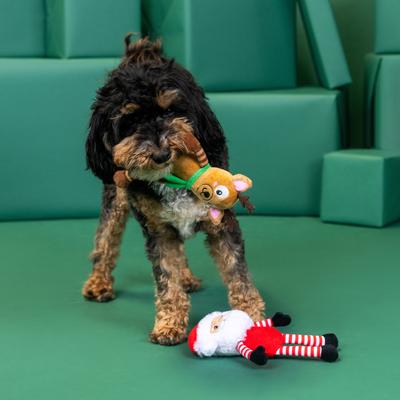 Show full view: Fringe Studio Christmas Friends at Frost Sight Plush Dog Toy Set, 2 count slide 5 of 5