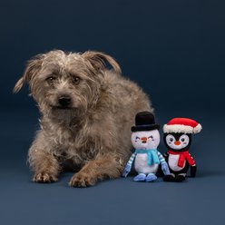 Fringe Studio Christmas Ultimate Chillers Plush Dog Toy slide 2 of 3