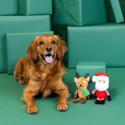 Show full view: Fringe Studio Christmas Friends at Frost Sight Plush Dog Toy Set, 2 count slide 3 of 5