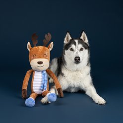 Fringe Studio Christmas Dashin Around Plush Dog Toy slide 2 of 3