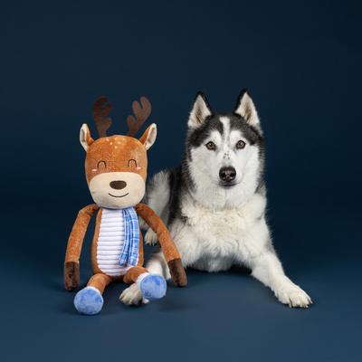 Show full view: Fringe Studio Christmas Dashin Around Plush Dog Toy slide 3 of 3