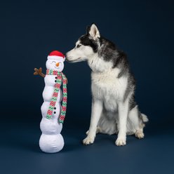 Fringe Studio Christmas Snowball Party Plush Dog Toy slide 2 of 3