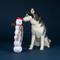 Show in main carousel: Fringe Studio Christmas Snowball Party Plush Dog Toy slide 3 of 3