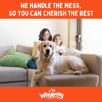 Show full view: Wee Away Be Gone Bio-Enzymatic Severe Stain & Odor Eliminator for Dogs & Cats, 15-fl oz bottle slide 6 of 8