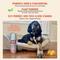 Show in main carousel: Wee Away Be Gone Bio-Enzymatic Severe Stain & Odor Eliminator for Dogs & Cats, 15-fl oz bottle slide 2 of 8