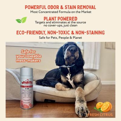 Show full view: Wee Away Be Gone Bio-Enzymatic Severe Stain & Odor Eliminator for Dogs & Cats, 15-fl oz bottle slide 2 of 8
