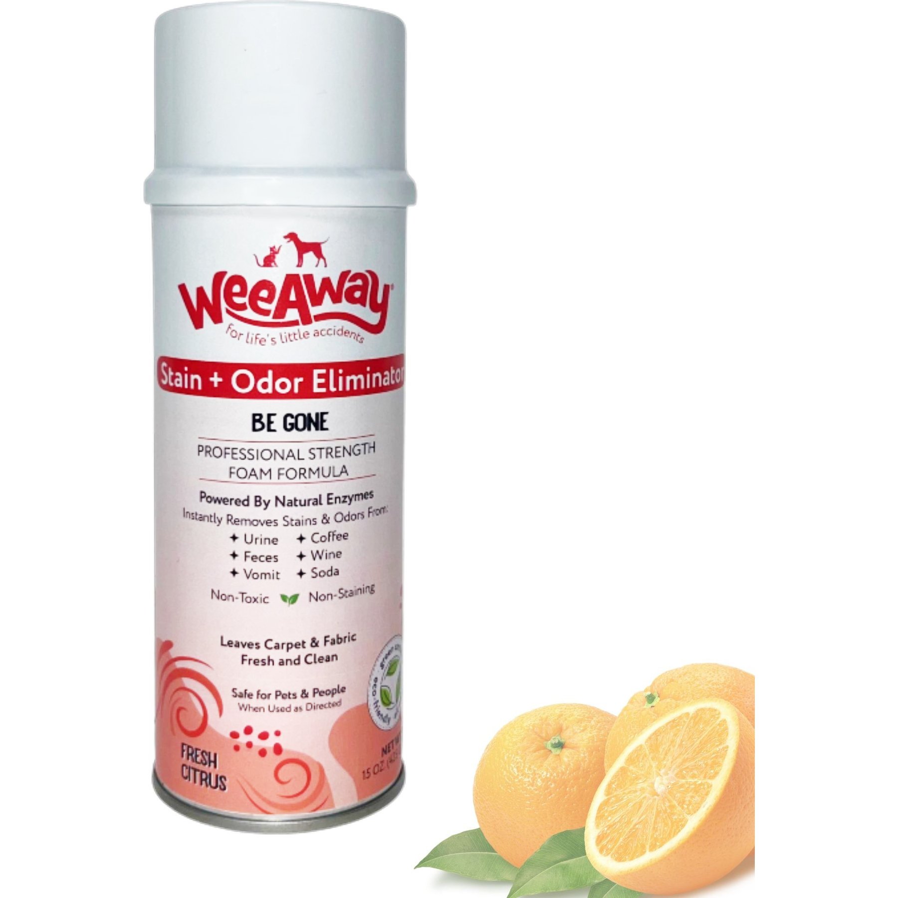 Wee Away Be Gone Bio-Enzymatic Severe Stain & Odor Eliminator for Dogs & Cats, 15-fl oz bottle