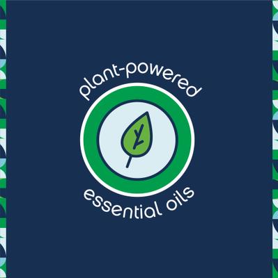 Show full view: Pet Life Unlimited Flea & Tick 3-Step Kit for Dogs slide 2 of 6