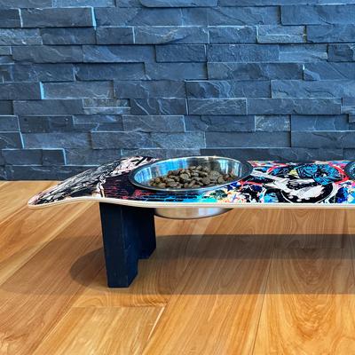 Show full view: Funky Flies Rock Legends SkateBowls Stainless Steel Elevated Dog Bowl, 3-cup slide 5 of 11