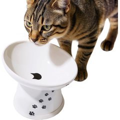 Necoichi Tilted Stress Free Raised Cat Food Bowl, 2 cup, Cat