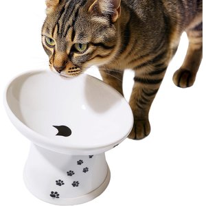 Necoichi Tilted Stress Free Raised Cat Food Bowl, 2 cup, Cat