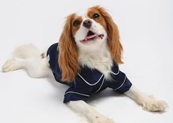 Both Tails Dog Pajamas, Blue, Large slide 2 of 8