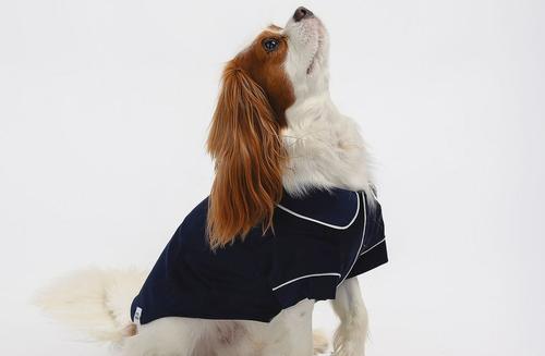 Show full view: Both Tails Dog Pajamas, Blue, X-Small slide 4 of 9