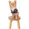 Show in main carousel: Both Tails Dog Pajamas, Blue, X-Small slide 5 of 9