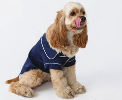 Both Tails Dog Pajamas, Blue, X-Small