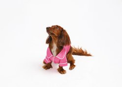 Both Tails Dog Pajamas, Pink, Small
