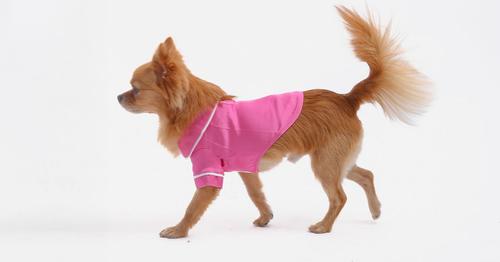 Show full view: Both Tails Dog Pajamas, Pink, Small slide 6 of 9