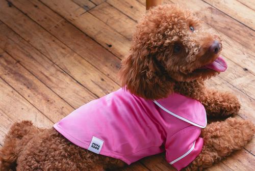 Show full view: Both Tails Dog Pajamas, Pink, Small slide 4 of 9