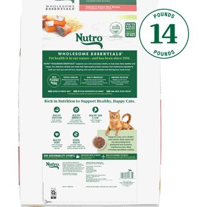 Nutro Wholesome Essentials Salmon & Brown Rice Recipe Dry Cat Food, 14-lb bag