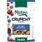 Show in main carousel: Nutro Crunchy with Real Mixed Berries Dog Treats, 16-oz bag slide 1 of 11