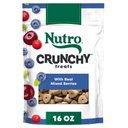 Nutro Crunchy with Real Mixed Berries Dog Treats, 16-oz bag