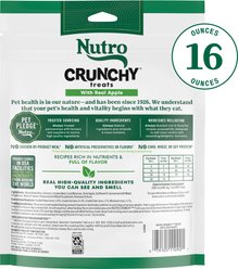 Nutro Crunchy with Real Apple Dog Treats, 16-oz bag slide 2 of 8