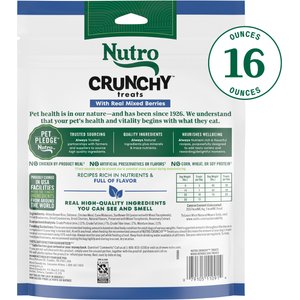 Nutro Crunchy with Real Mixed Berries Dog Treats, 16-oz bag