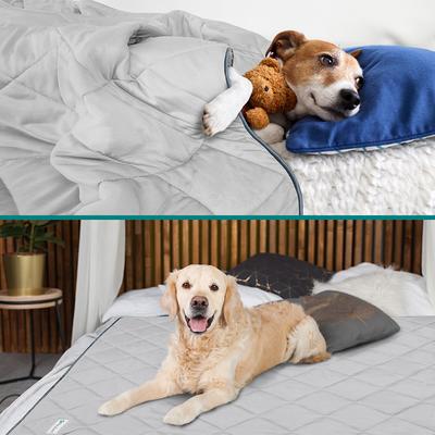 Show full view: PetAmi Soft Cooling Cat & Dog Blanket, Light Grey, Small slide 5 of 12