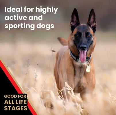 Show full view: VICTOR High Energy Active Sporting Gluten-Free Beef & Chicken Meal Dry Dog Food, 50-lb bag slide 6 of 12