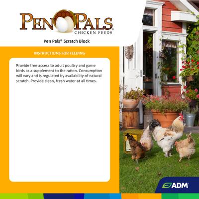 Show full view: ADM Pen Pals Scratch Block Chicken Supplement, 25-lb block slide 2 of 8