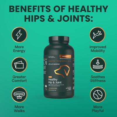 Show full view: VetriScience GlycoFlex 2 Healthy Hip & Joint Chicken Flavored Chewable Tablets Supplement for Dogs, 120 count slide 7 of 12