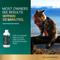 Show in main carousel: VetriScience Composure Unflavored Liquid Calming & Anxiety Supplement for Dogs & Cats, 8-fl oz bottle slide 4 of 11