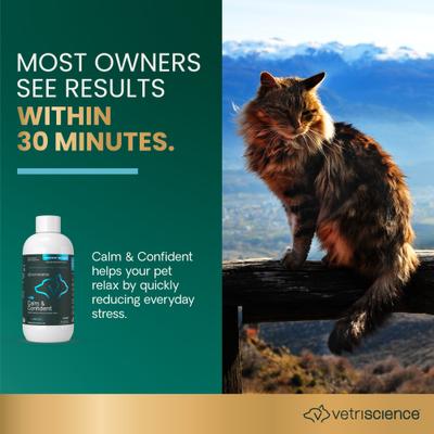 Show full view: VetriScience Composure Unflavored Liquid Calming & Anxiety Supplement for Dogs & Cats, 8-fl oz bottle slide 4 of 11